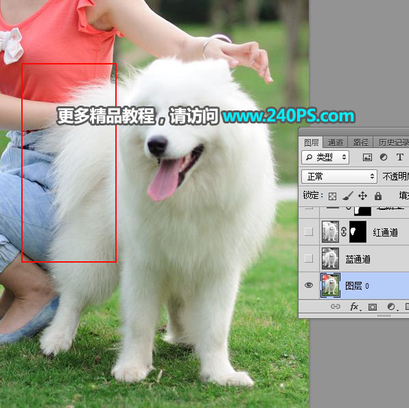 Photoshop^sС