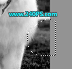 Photoshop^(f)sС