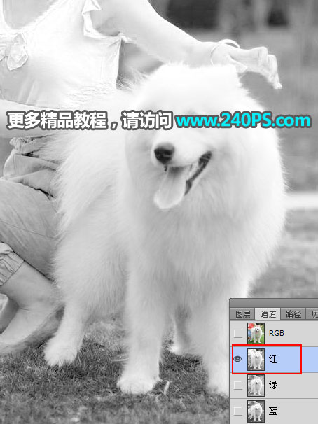 Photoshop^sС