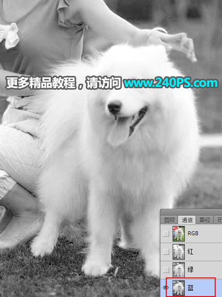 Photoshop^sС