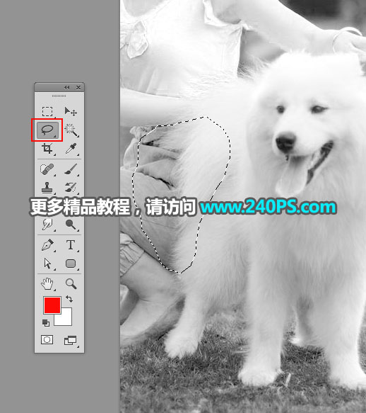 Photoshop^(f)sС