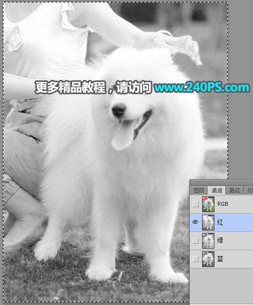 Photoshop^sС