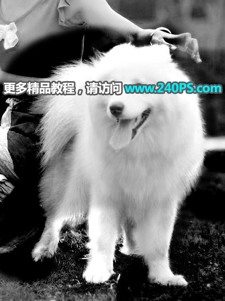 Photoshop^sС