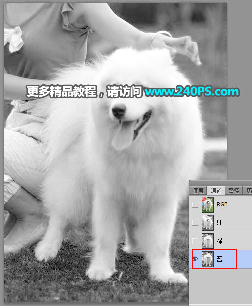 Photoshop^sС