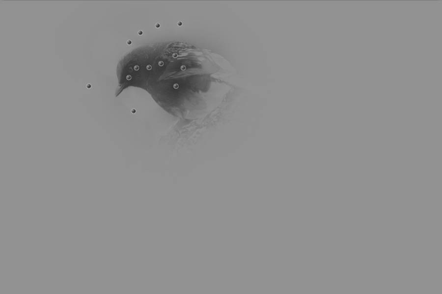 PhotoshopVRNik Dfine2ʹý̳