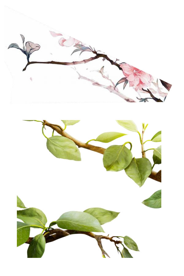 PhotoshopO(sh)ӋЇL~