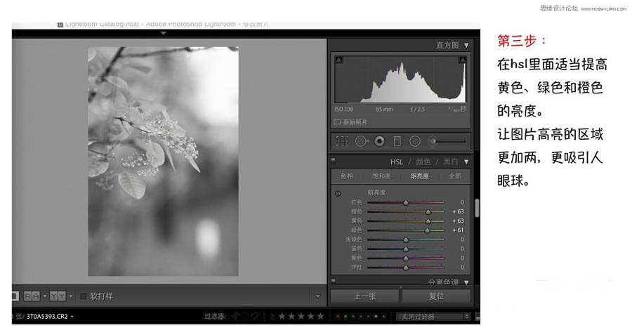 Photoshop{ΨL{ɫˇgЧ
