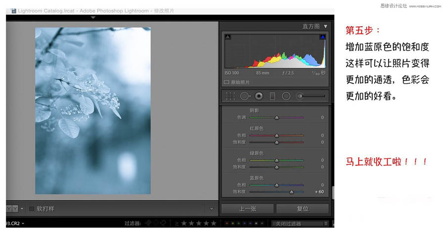 Photoshop{ΨL{ɫˇgЧ