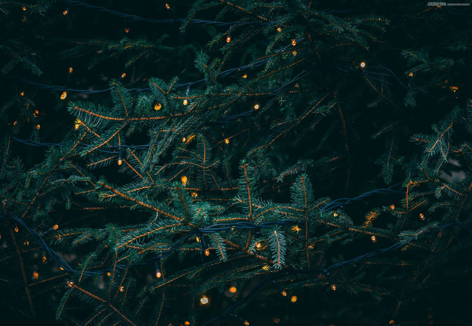 201812OӋȦø؛ϼ