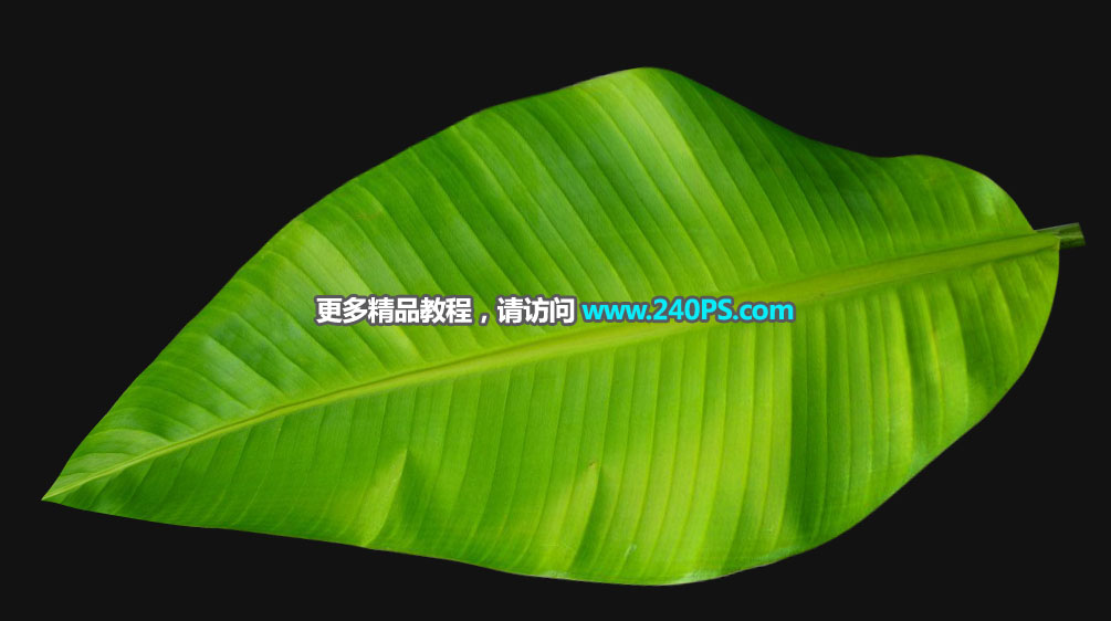電商海報:用PS設(shè)計海鮮促銷海報