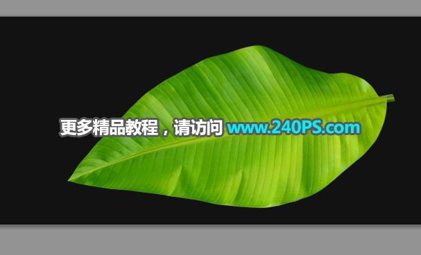 電商海報:用PS設(shè)計海鮮促銷海報
