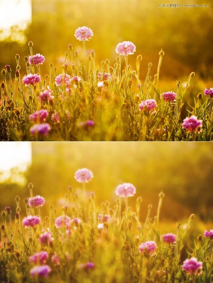 PhotoshopaƬόˇgЧ